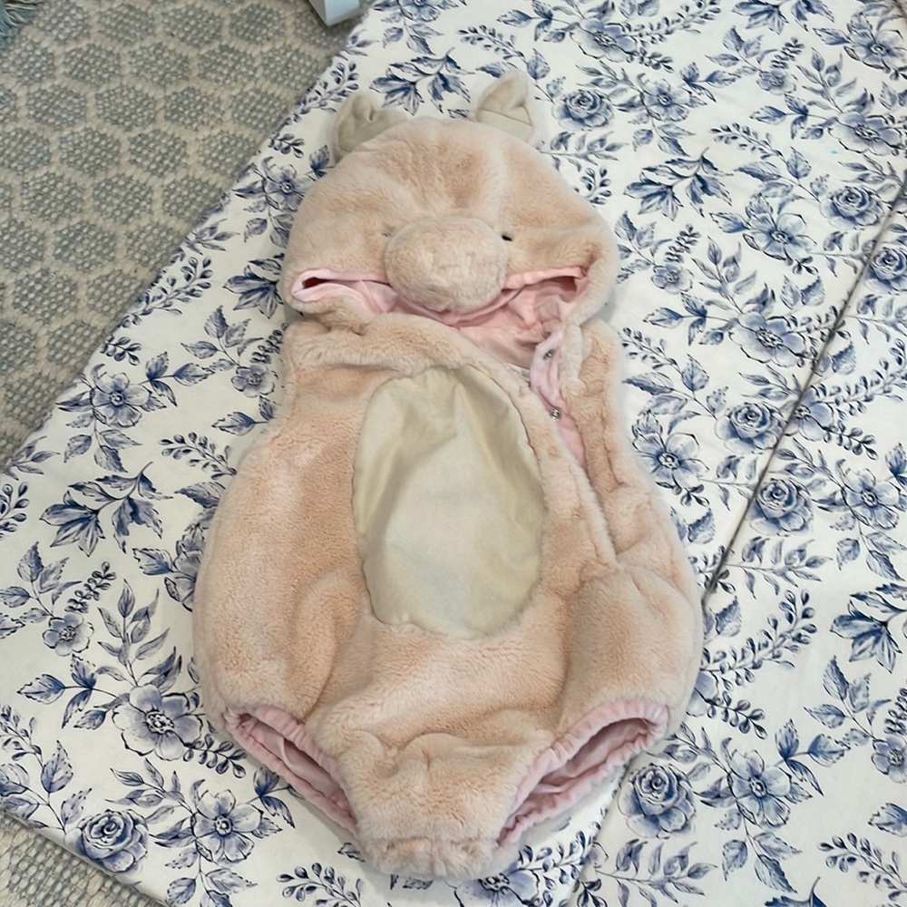 Baby Pig Costume